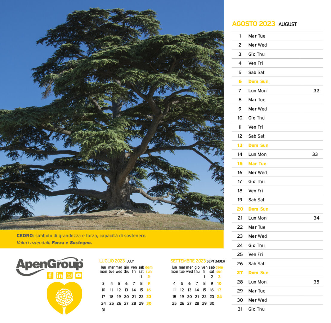 Calendario 2023_12