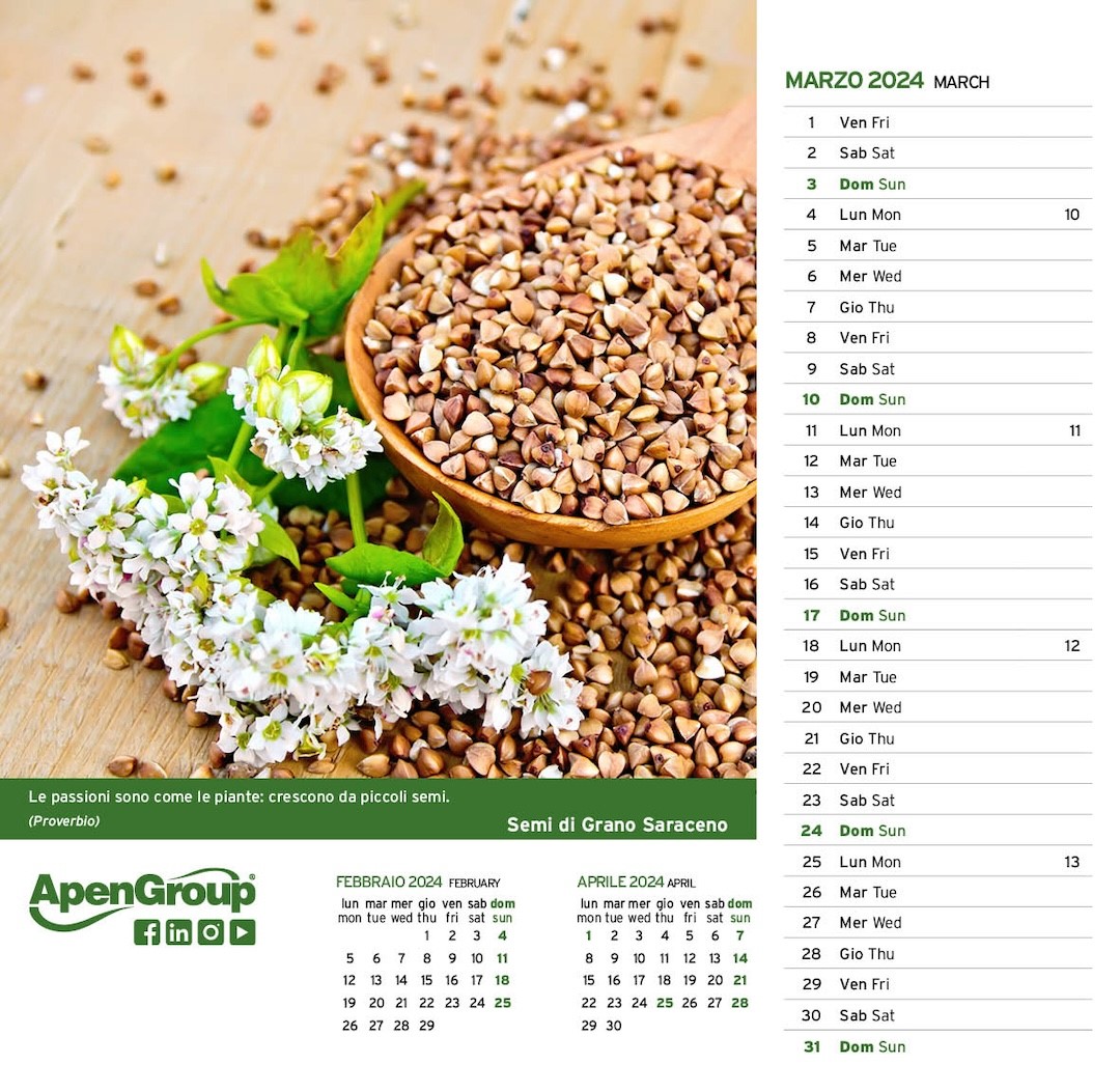 03_Marzo
